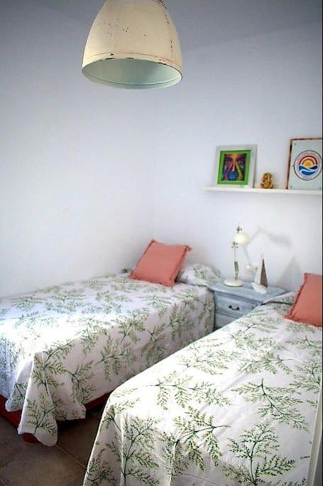 Espectacular Casa Muy Luminosa Con Azotea Διαμέρισμα Conil De La Frontera Εξωτερικό φωτογραφία
